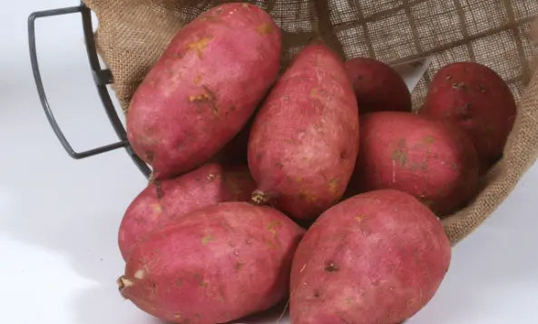 Red Sweet Potato