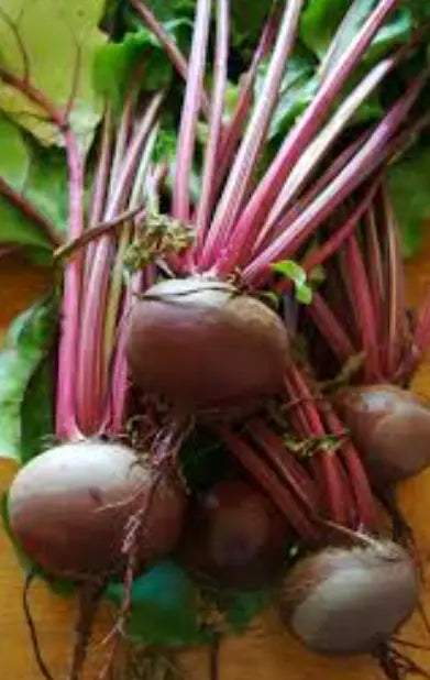 Beetroot Med
