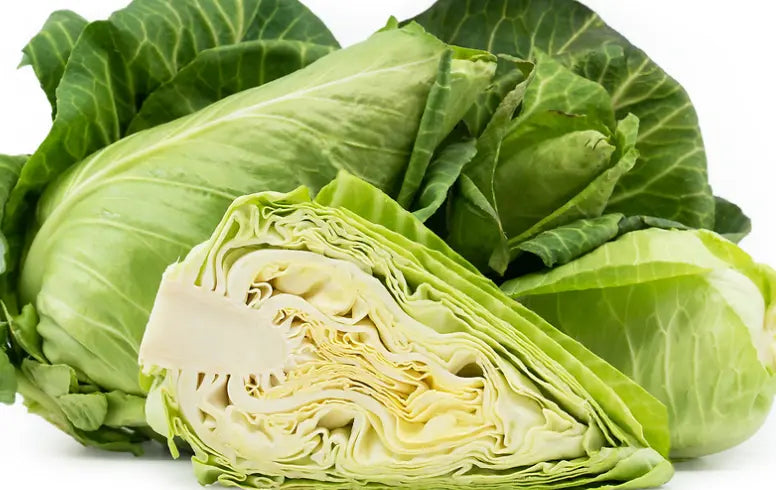 Cabbage- Sugarloaf