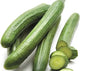 Continental Cucumber