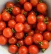 Cherry Tomatoes