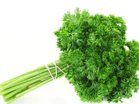Continental Parsley