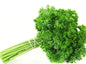 Continental Parsley
