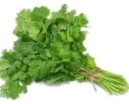 Coriander