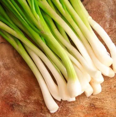 Shallots - Bunch