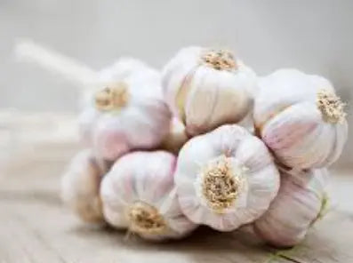 Whole Garlic Bulb