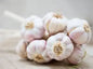 Whole Garlic Bulb