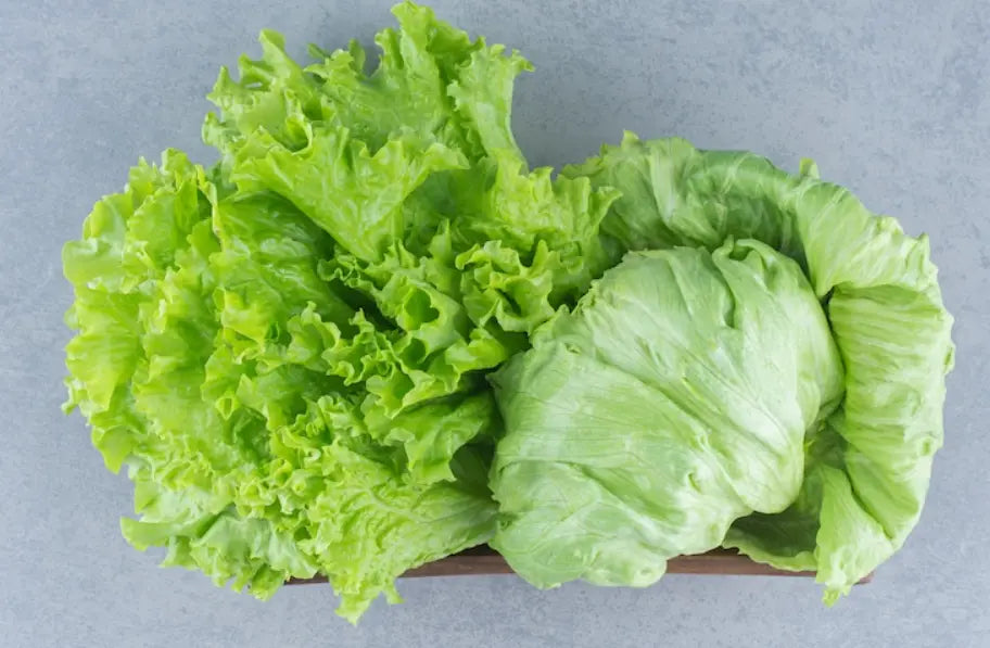 Iceberg Lettuce
