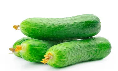 Lebanese Cucumber