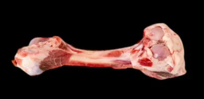 Mixed Pet Bones