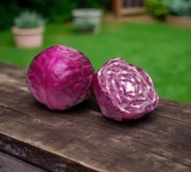 Red Cabbage