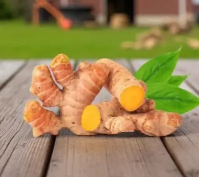 Turmeric - Organic Spray free